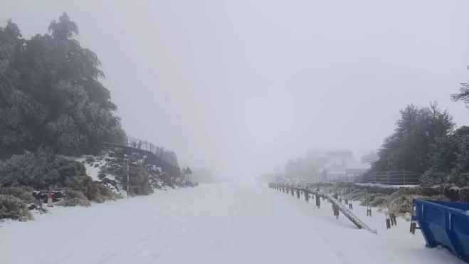 WhatsApp Image 2025 12 13 at 14.05.11