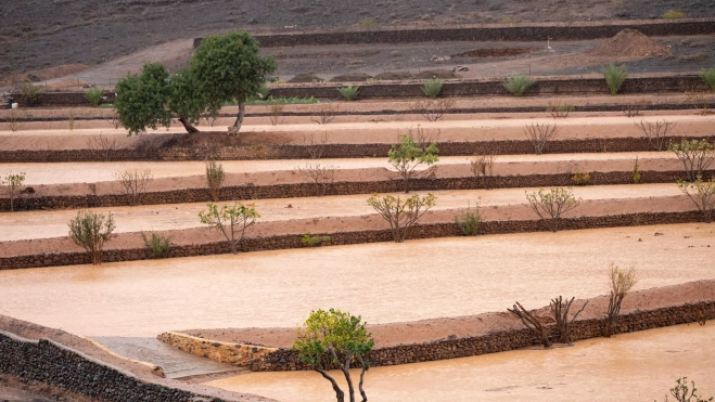 Las lluvias caídas como efecto de la borrasca Emilia han provocado, entre otros efectos, que las gavias se llenen en la localidad de Guisguey, municipio de Puerto del Rosario. / CARLOS DE SAÁ-EFE