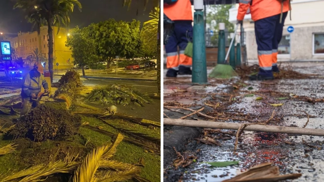 Personal de Parques y Jardines recogiendo y encargándose de los desperfectos creados por la borrasca / MONTAJE AH Personal de Parques y Jardines recogiendo y encargándose de los desperfectos creados por la borrasca / MONTAJE AH