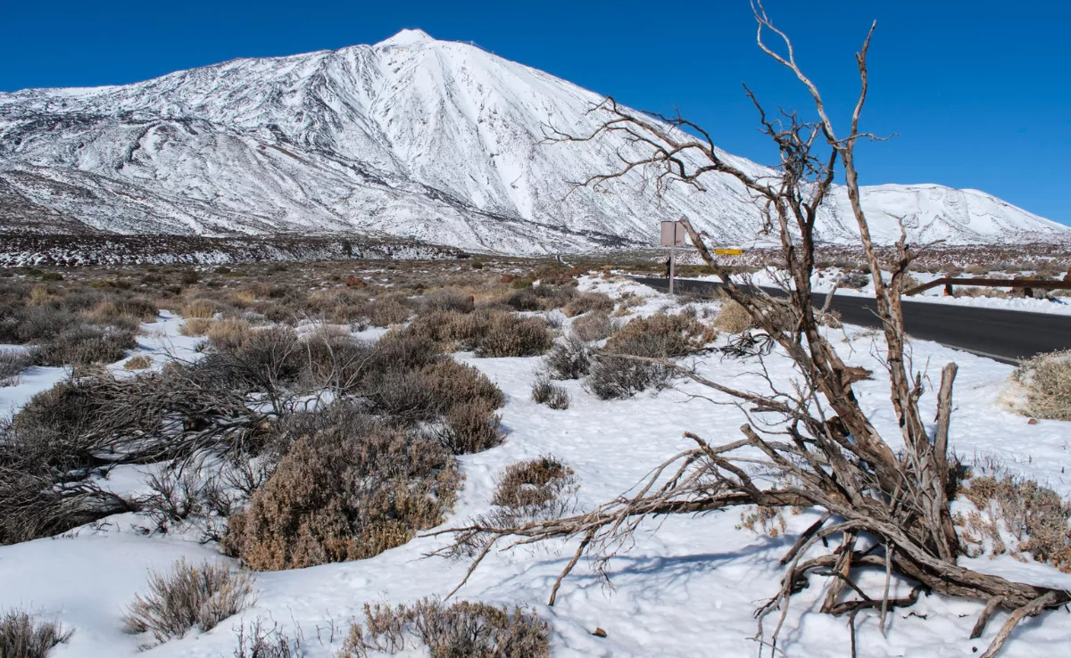 El Parque Nacional del Teide. / EFE / Alberto Valdés