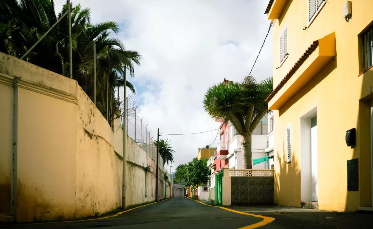 Camino El Cañaveral, en La Laguna. /Cedida