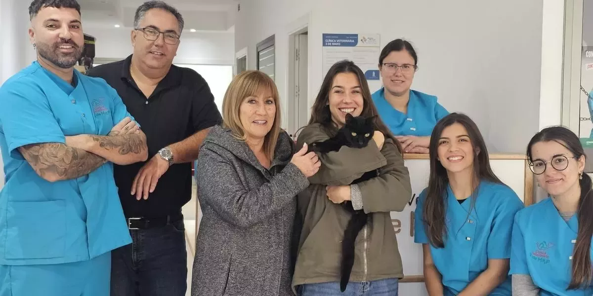 Aparece después de siete años perdido en Tenerife / AYUNTAMIENTO DE EL ROSARIO 