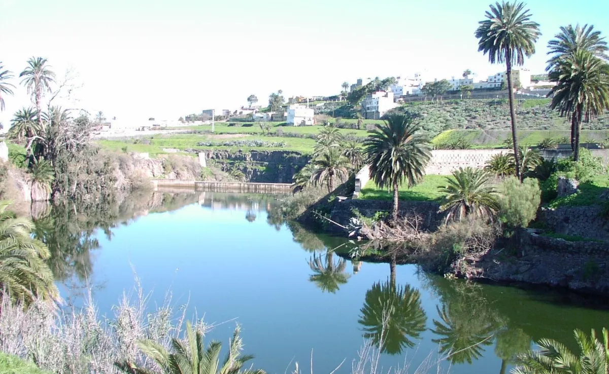 La presa de Tamaraceite, propiedad de la empresa Guerra G S L. / RED