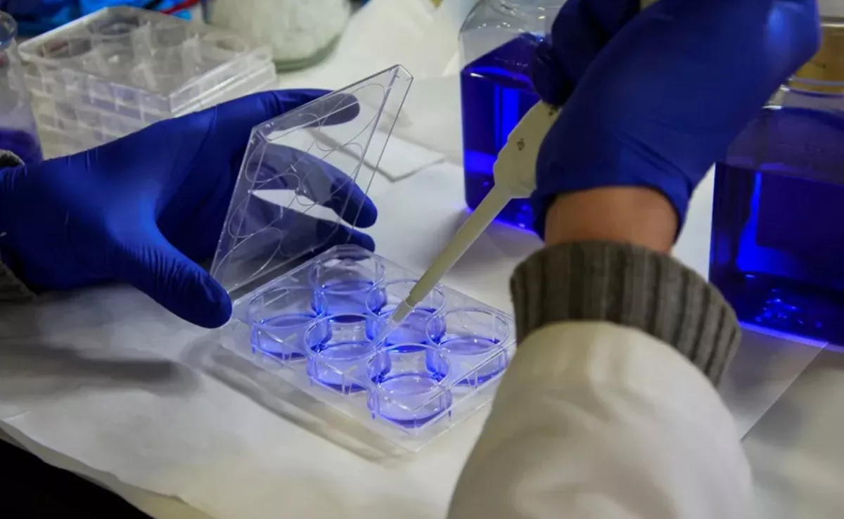 Un laboratorio enfocado a la innovación / EFE