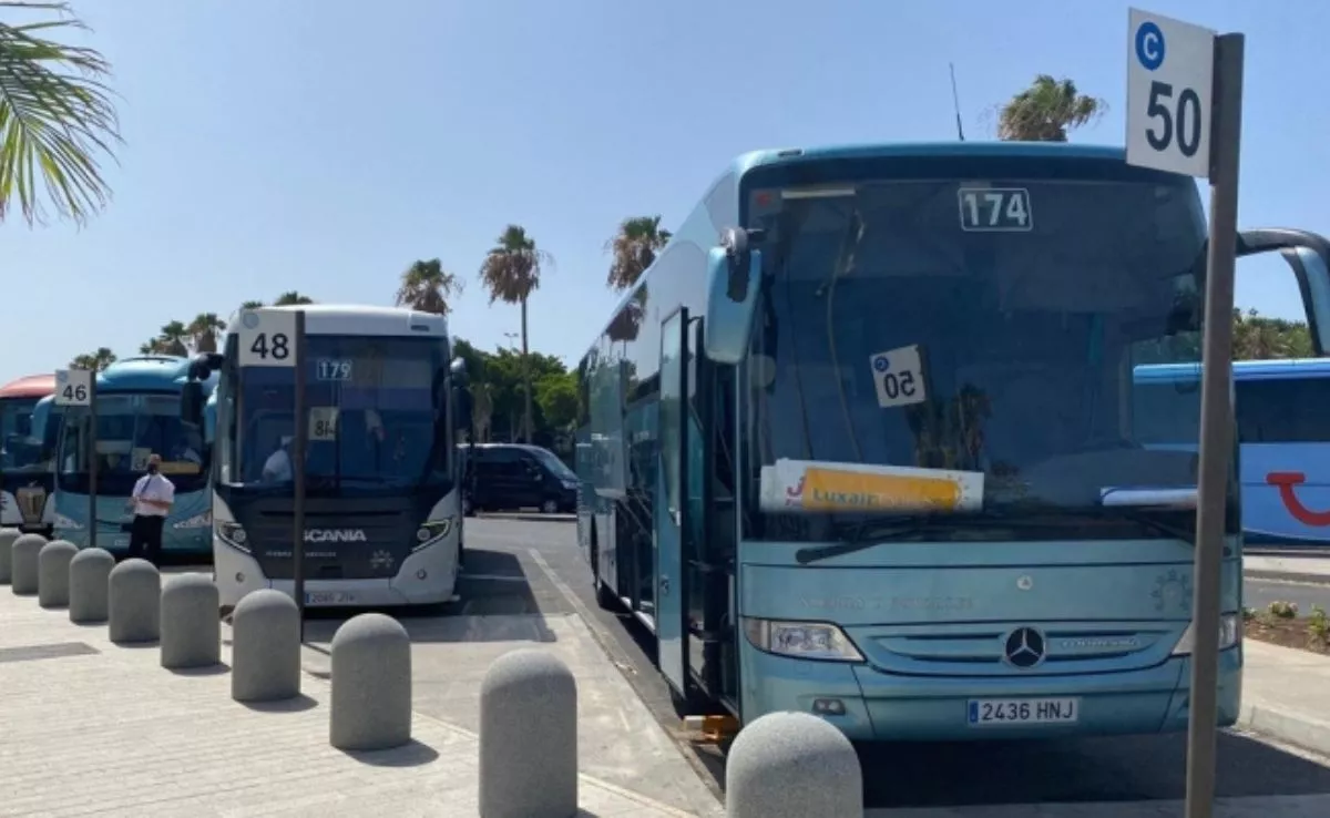 Guaguas discrecionales en el aeropuerto Tenerife Sur.  /Ashotel