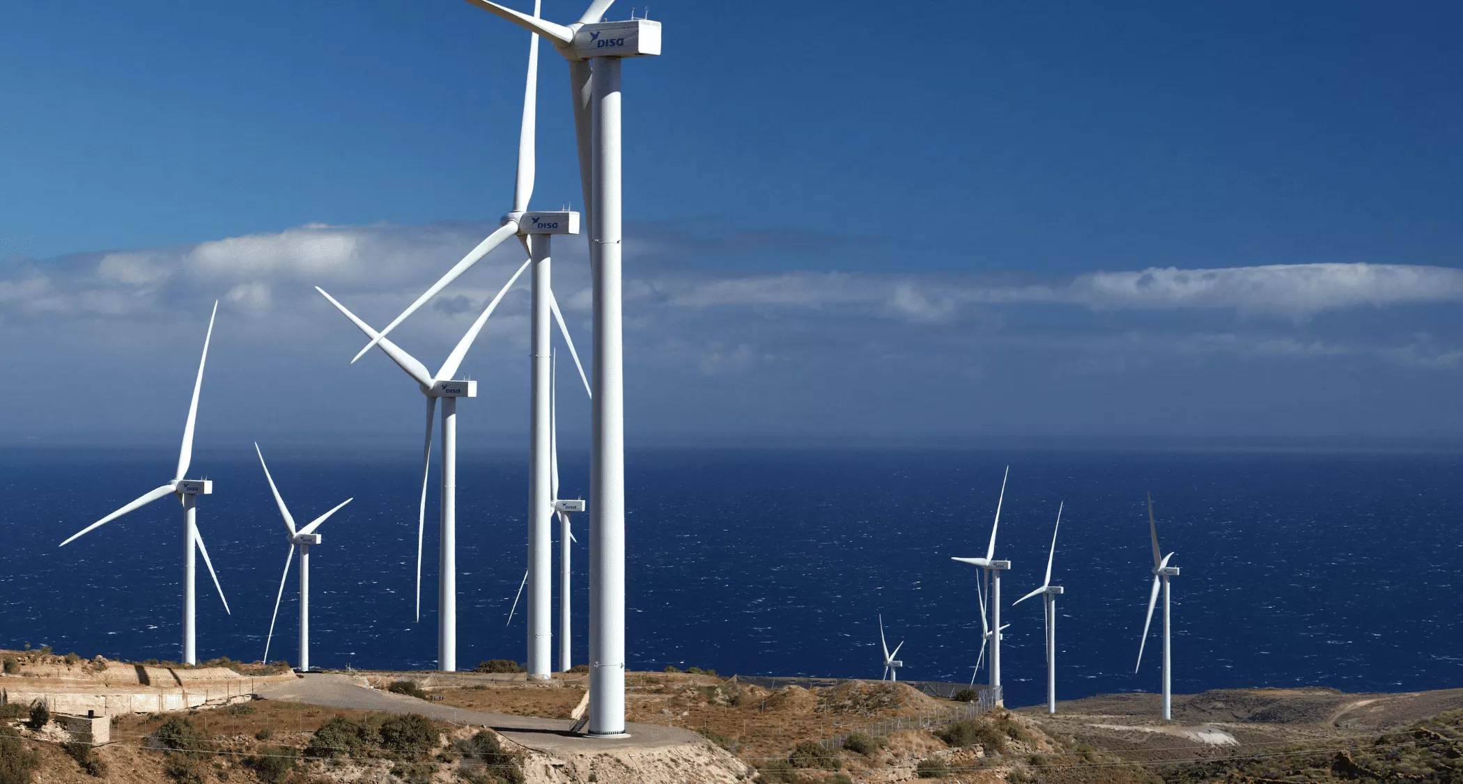 Parque eólico DISA Abote Bermejo. / CEDIDA