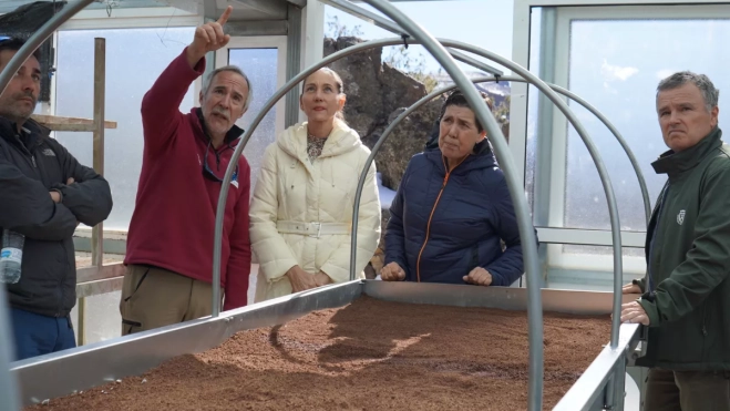 Las entidades explican que estas infraestructuras permitirán reforzar la producción de flora autóctona y acelerar la restauración ecológica / CABILDO DE TENERIFE Las entidades explican que estas infraestructuras permitirán reforzar la producción de flora autóctona y acelerar la restauración ecológica / CABILDO DE TENERIFE