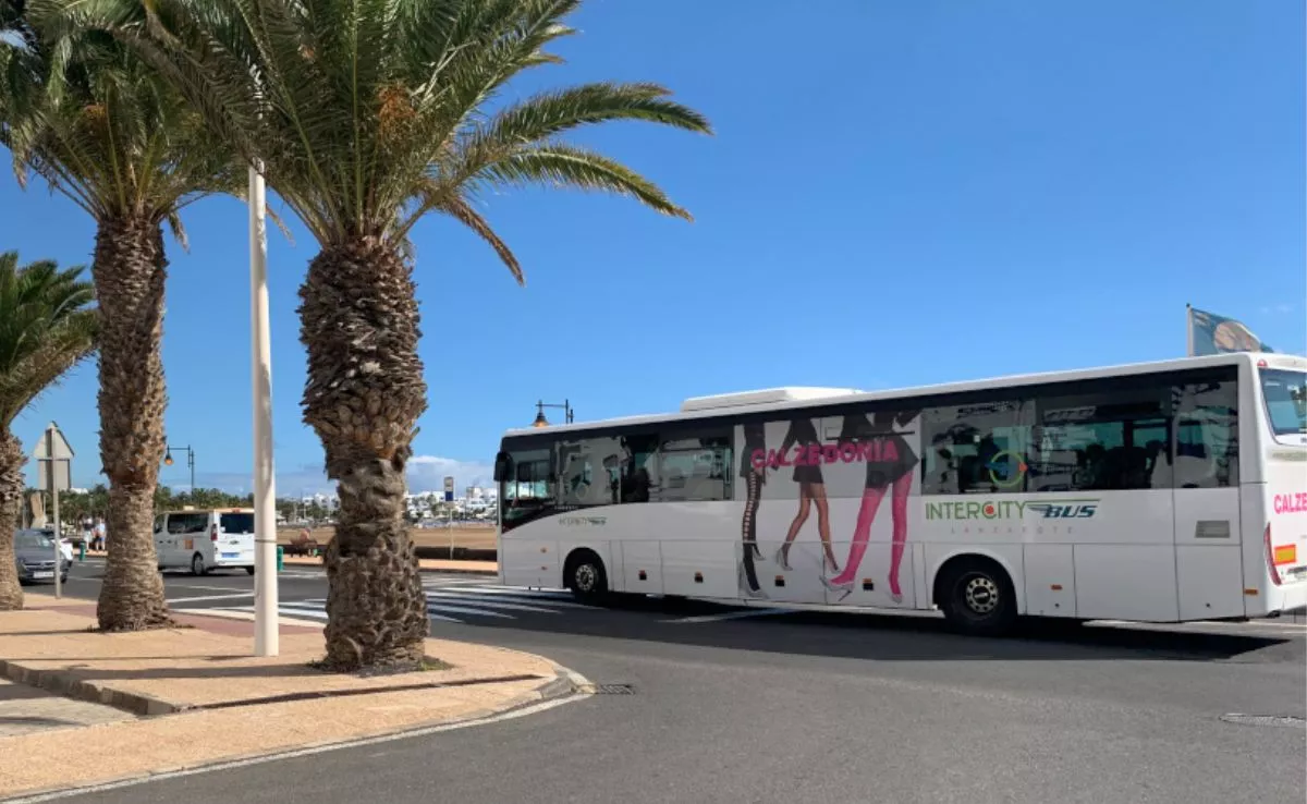 Guaguas de Lanzarote. /Cabildo de Lanzarote