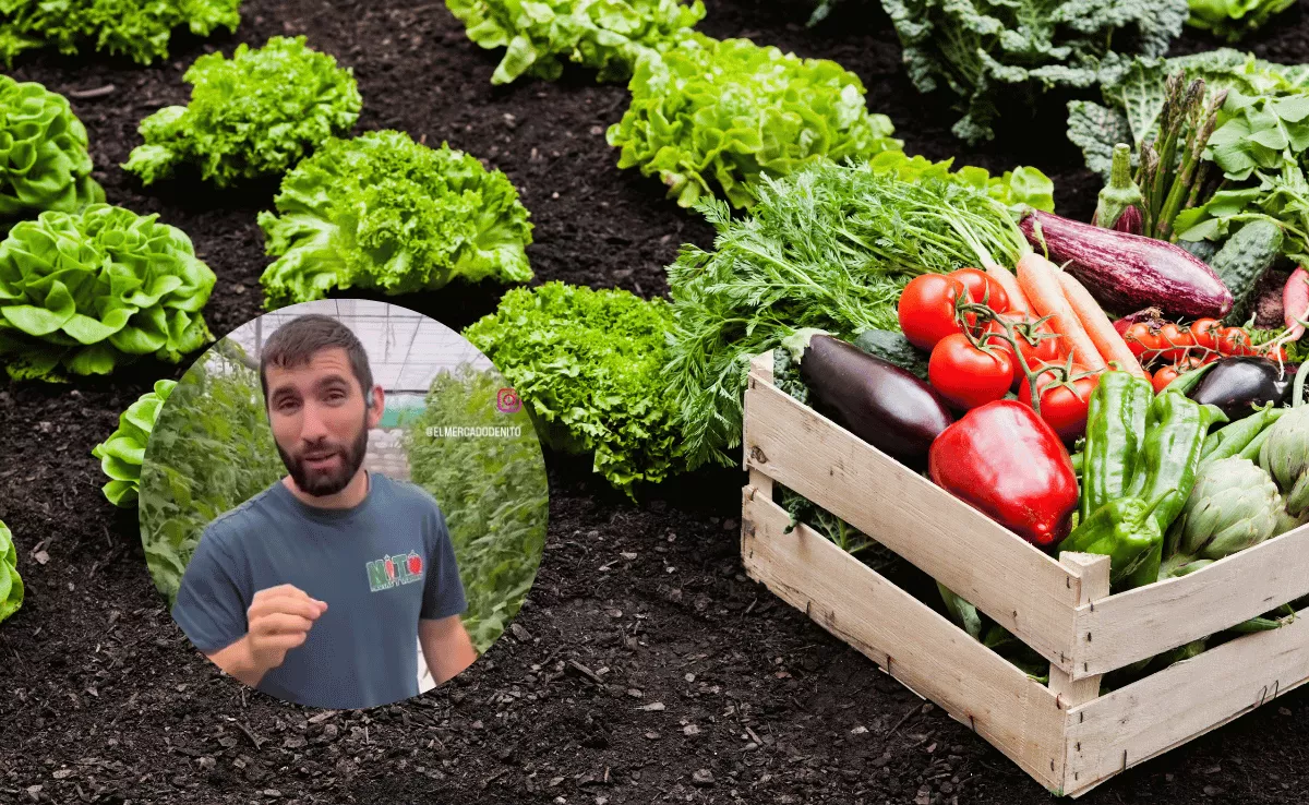 Imagen de una caja de productos agrícolas / CANVA - AH