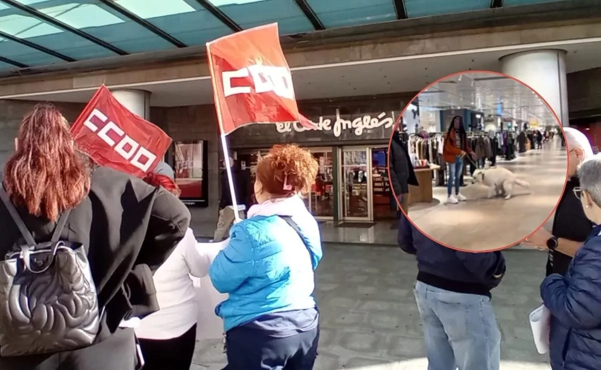 Concentración de protesta laboral exterior Corte Inglés Santa Cruz y fotografía de perro en otra tienda!MONTAJEAHgar||AH