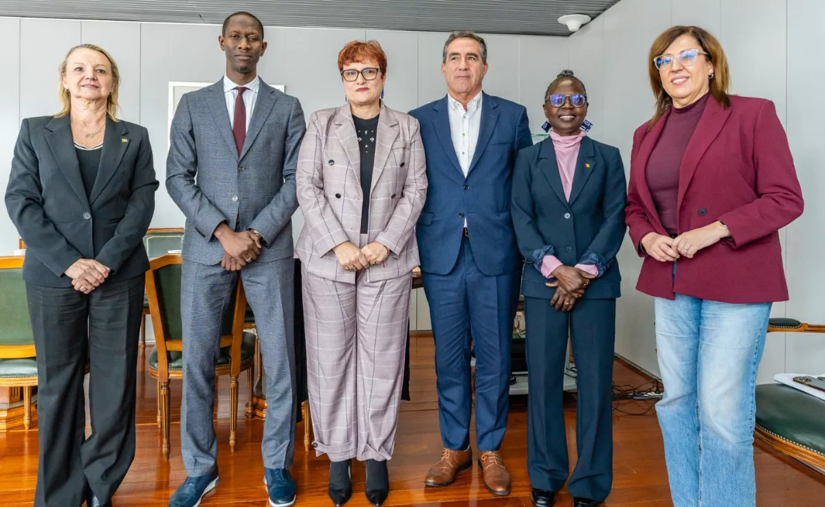 Reunión entre Canarias y Senegal. / BIENESTAR SOCIAL GOBIERNO DE CANARIAS
