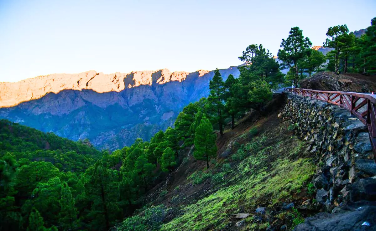 Zona de La Cumbrecita, en la isla de La Palma. / VISIT LA PALMA