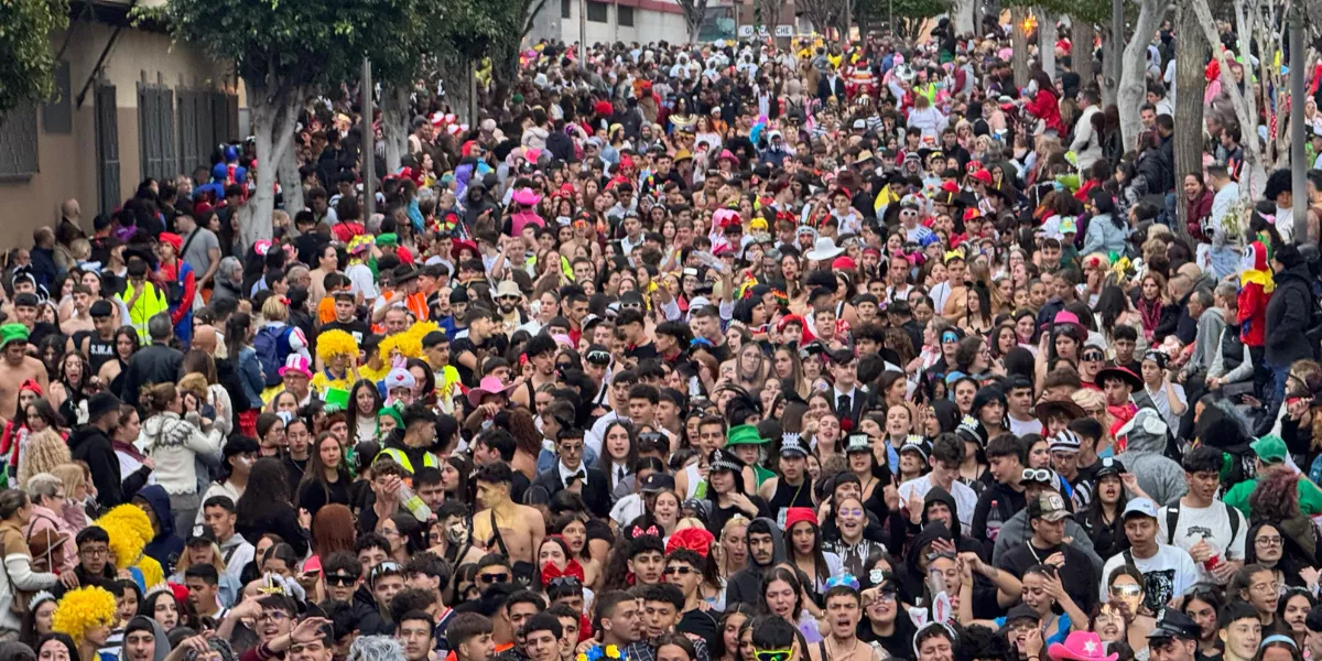 Imagen del Carnaval de Telde en 2025 / AYUNTAMIENTO DE TELDE
