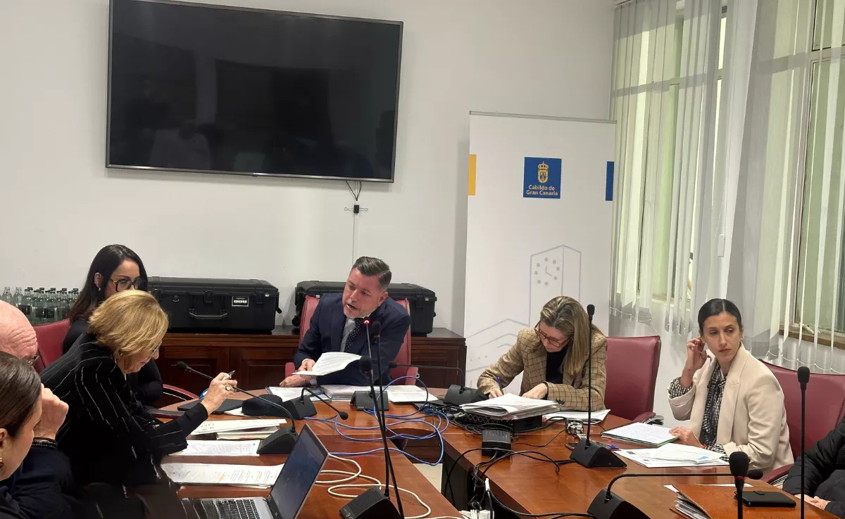 Los consejeros Teodoro Sosa y Pepa Luzardo debaten en la comisión de Pleno / ATLÁNTICO HOY - MARCOS MORENO