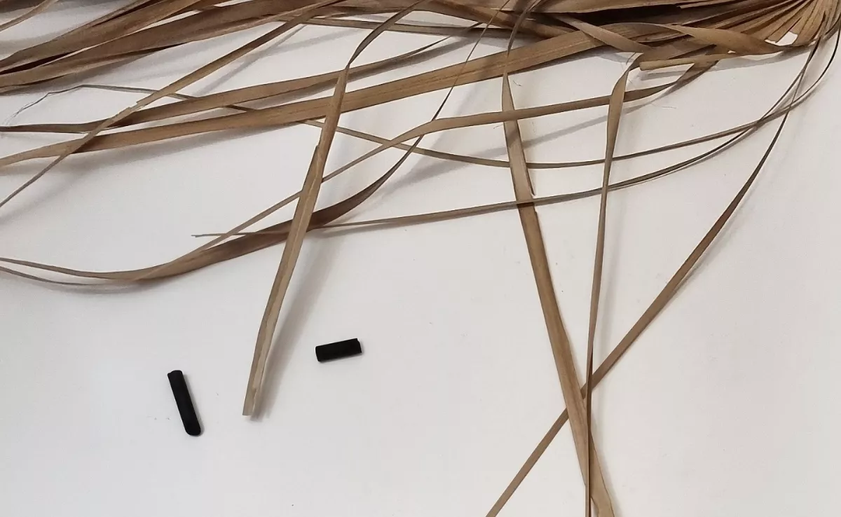 El Círculo de Bellas Artes de Tenerife acoge ‘A ras de suelo', de Madeleine Lohrum./ CEDIDA