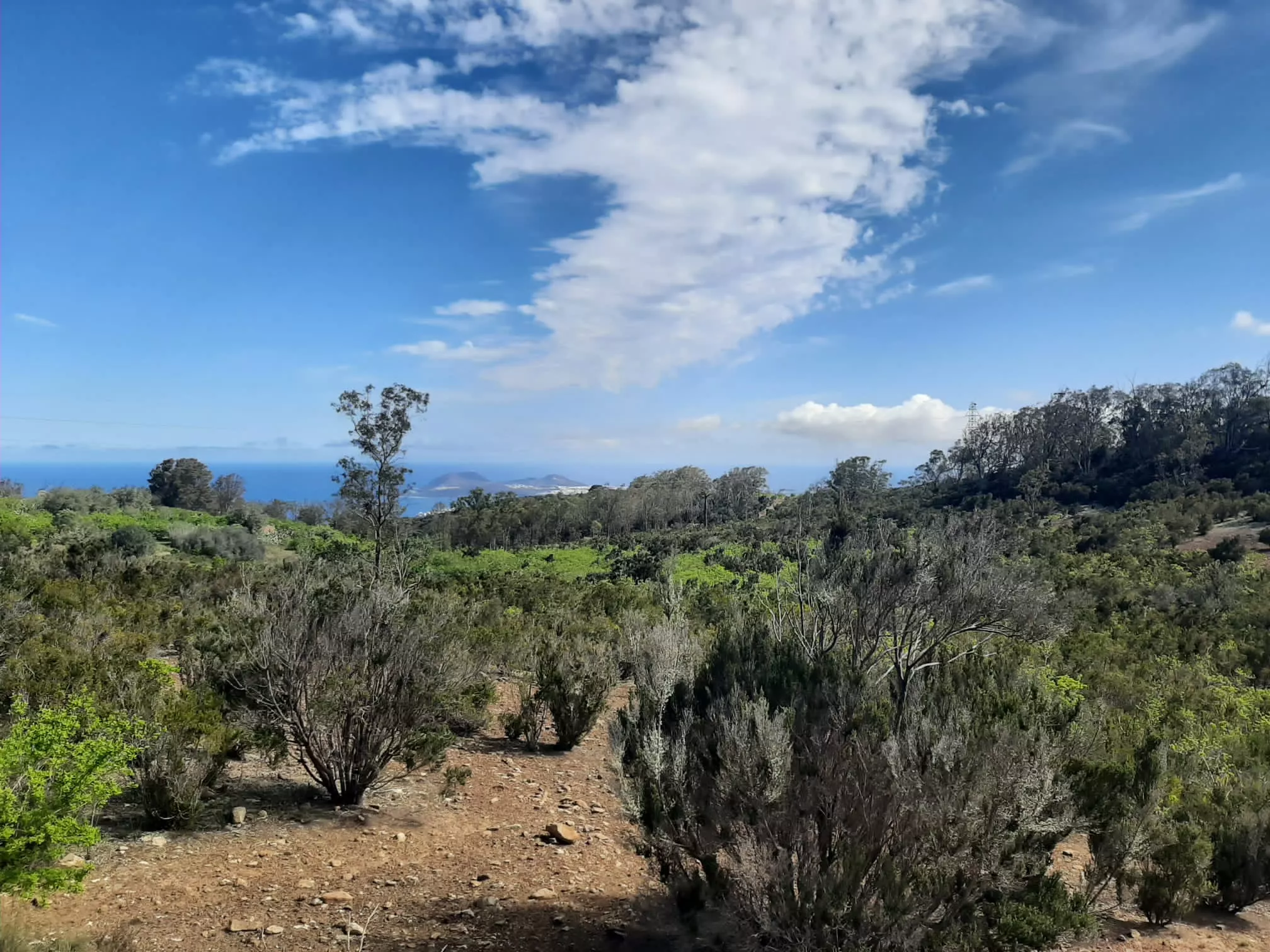 Lomo Riquiánez, en Arucas. CEDIDA