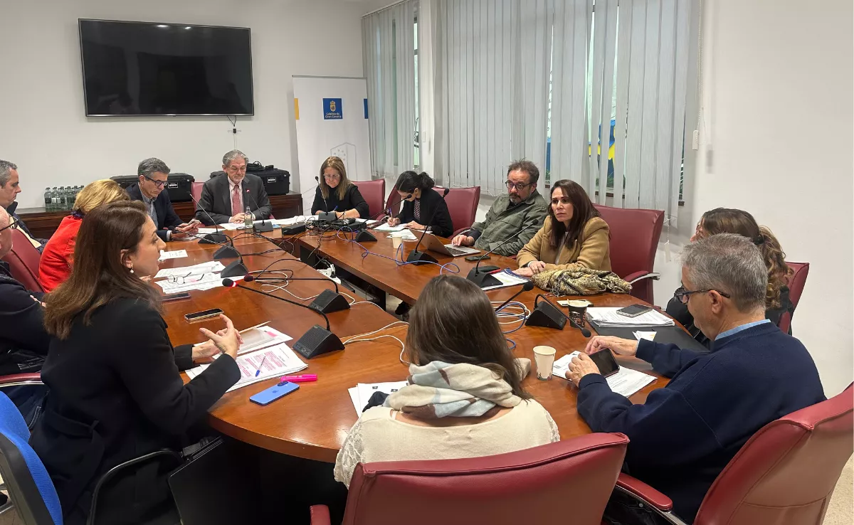 Vidina Cabrera y Margarita González intervienen en la comisión de Pleno / ATLÁNTICO HOY - MARCOS MORENO