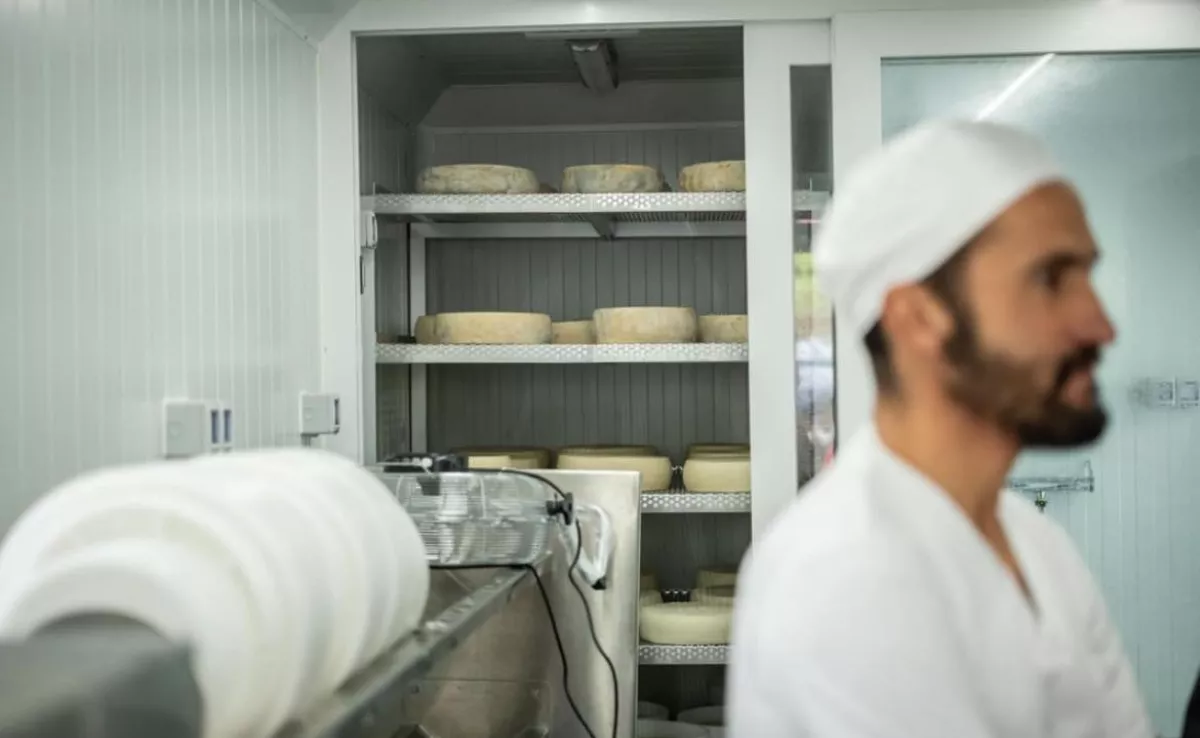 Ismael García Jiménez, creador de la primera quesería móvil de Canarias / AYUNTAMIENTO DE AGAETE
