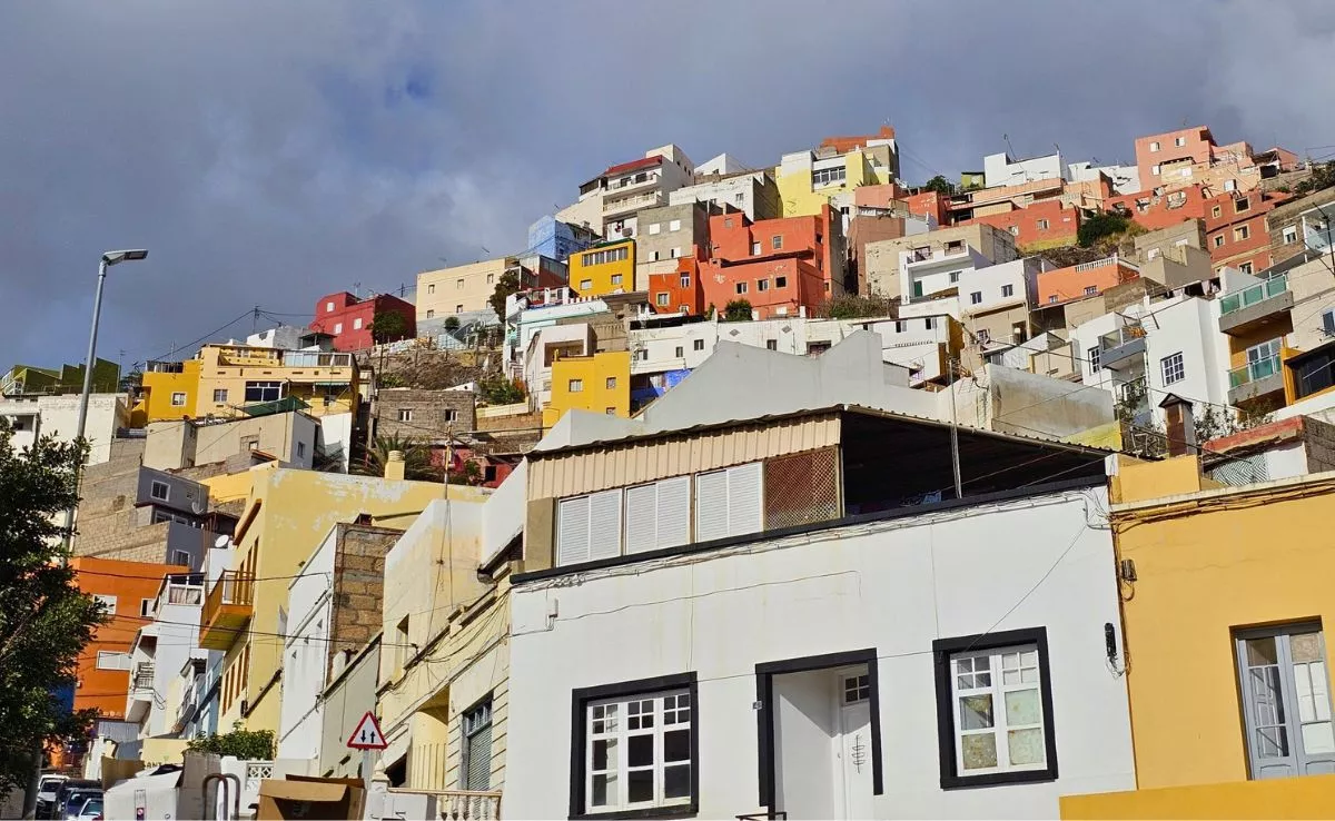Barrio Nuevo, Santa Cruz de Tenerife|REDES