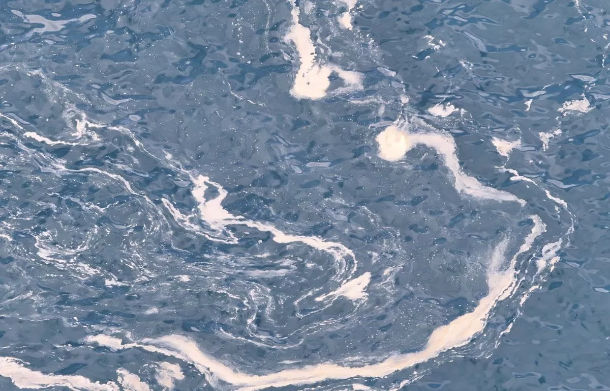 Contaminación en el litoral de Telde este martes. AYUNTAMIENTO DE TELDE