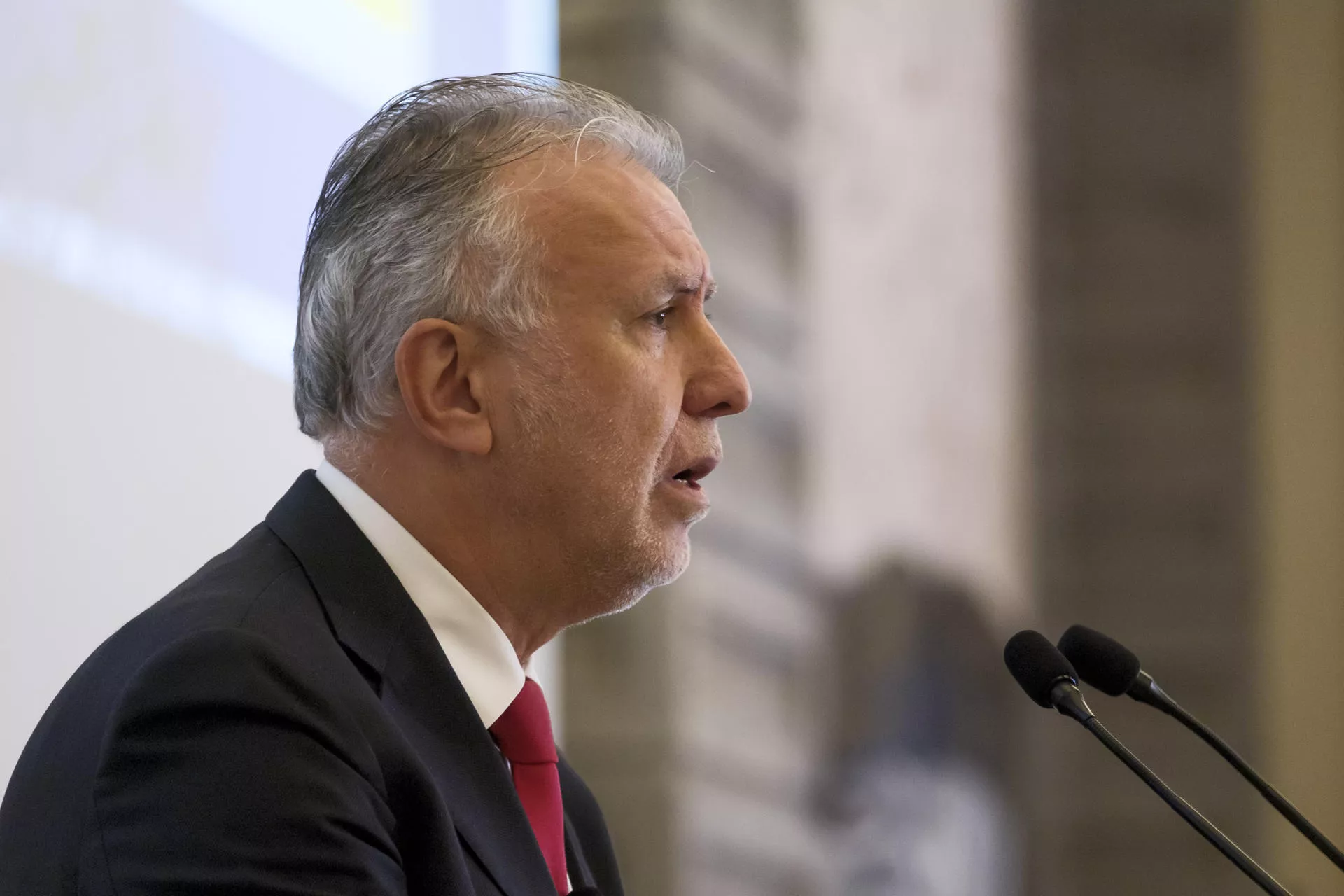 El ministro de Política Territorial, Ángel Víctor Torres. / EFE - ÁNGEL MEDINA G