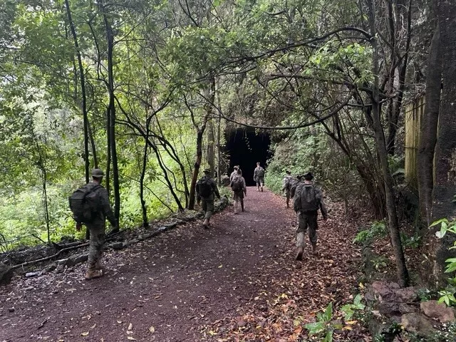 La Brigada Canarias XVI despliega efectivos en La Palma para labores de vigilancia y presencia. / MANDO DE CANARIAS