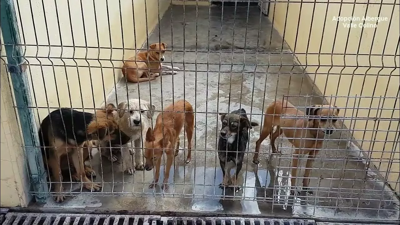 Albergue Valle Colino|REDES