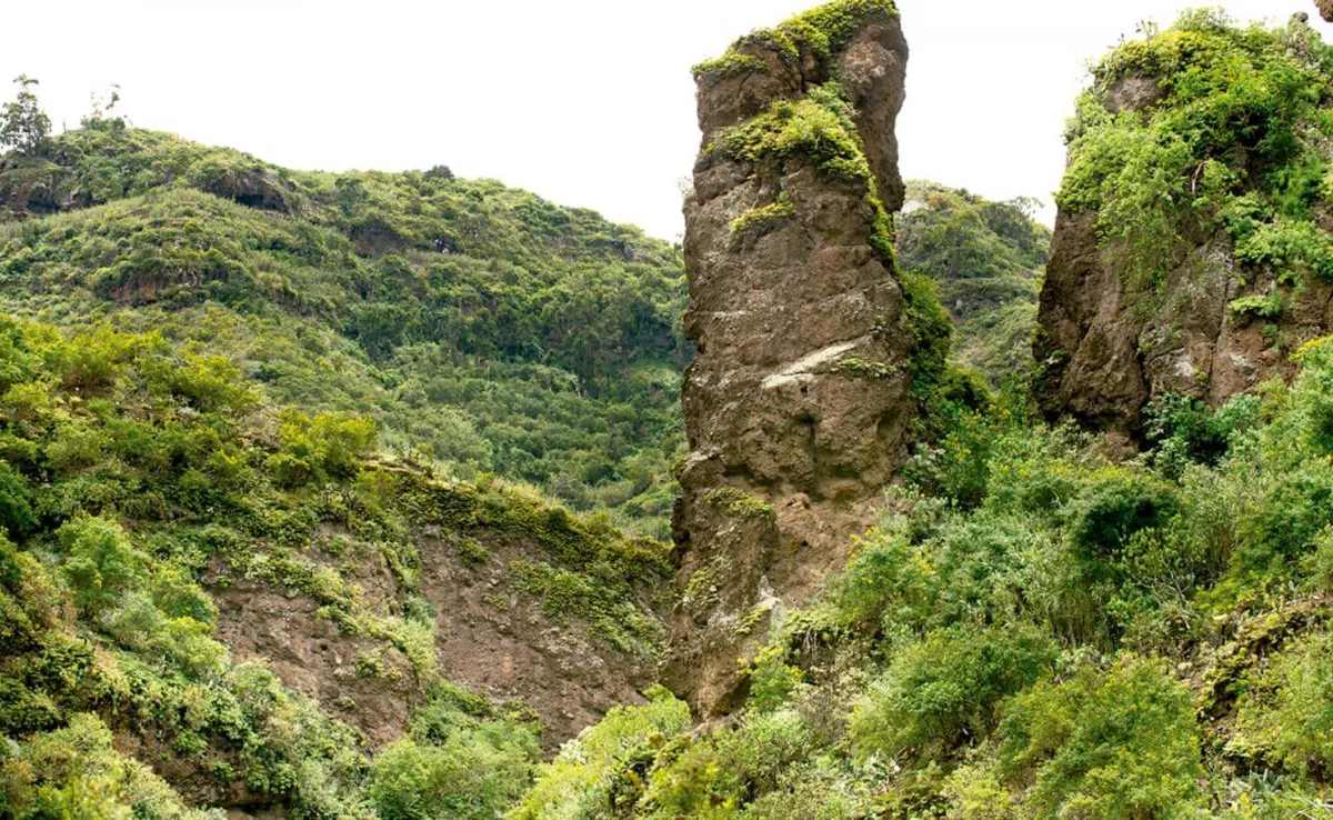 Imagen del barranco de Azuaje / HOLA ISLAS CANARIAS
