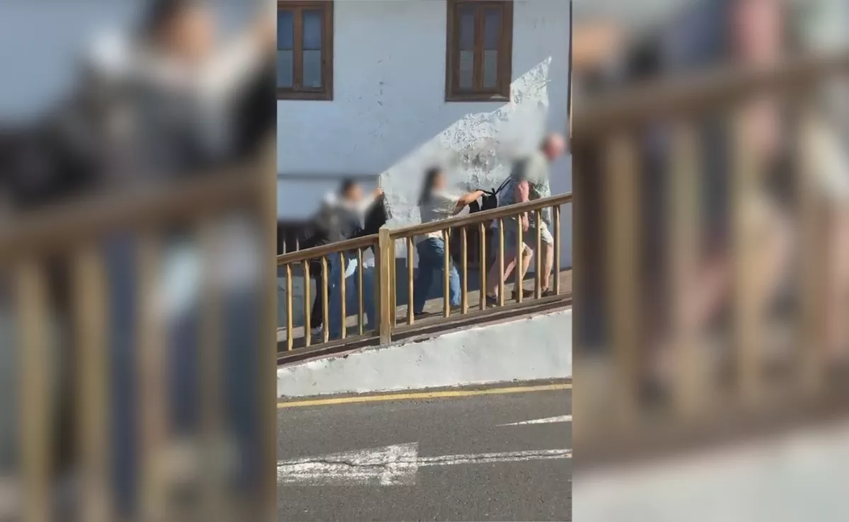 Captura del vídeo robando a turistas / GUARDIA CIVIL