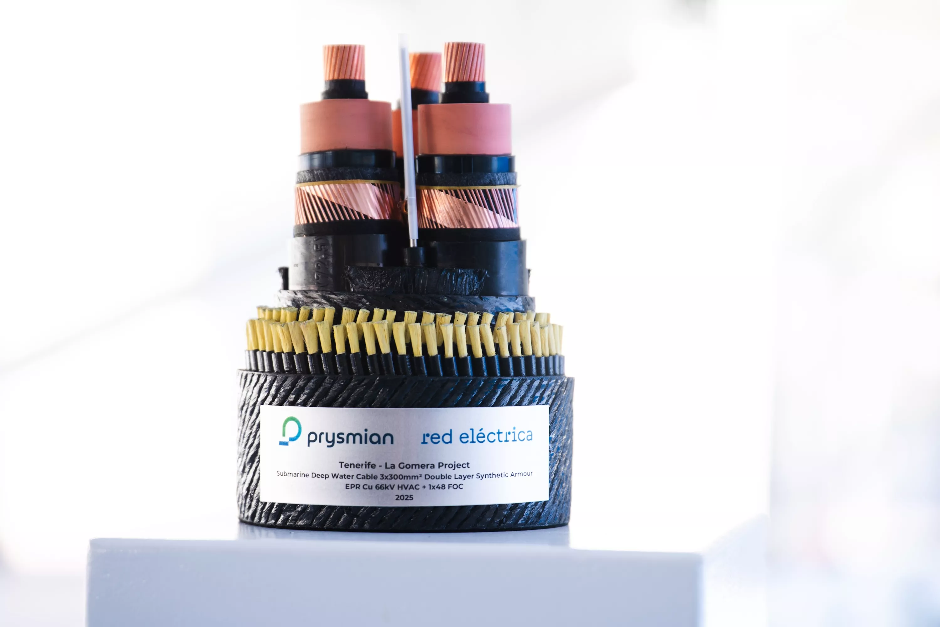 Parte del cable submarino que conecta Tenerife con La Gomera. / ACFI PRESS