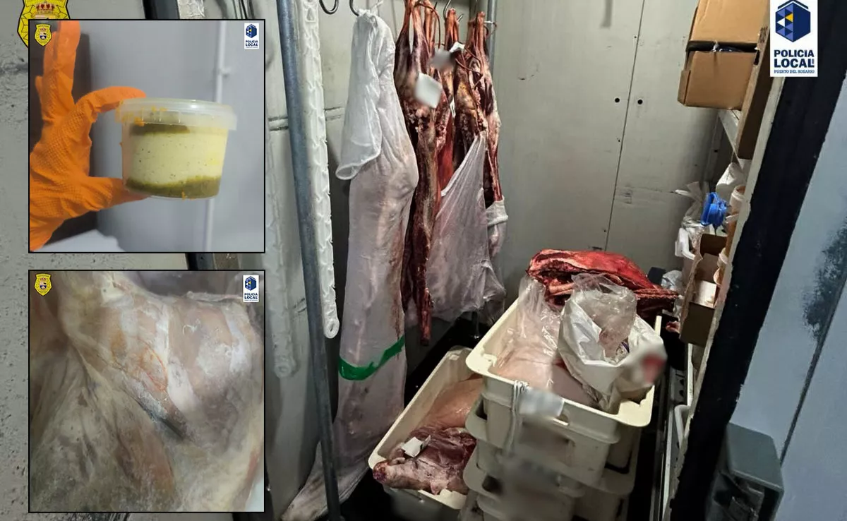 Imagen de los productos en mal estado / POLICÍA LOCAL