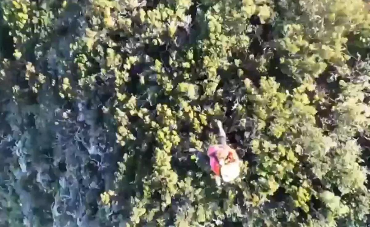 Rescatada en Anaga una senderista de 75 años herida y desorientada. / 112 CANARIAS