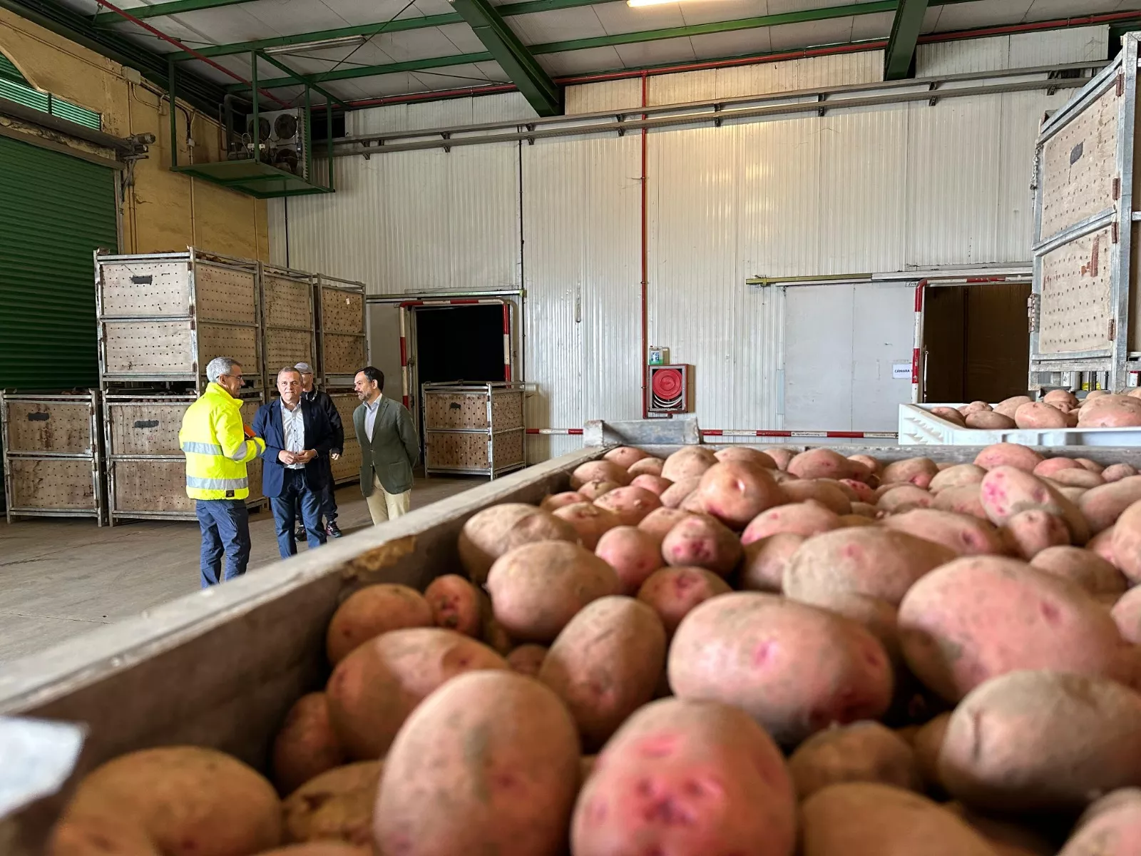 El Cabildo invertirá 1,2 millones en las nuevas cámaras frigoríficas del complejo agrícola de Benijos, en La Orotava
