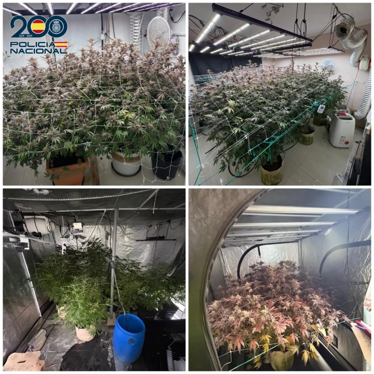 WhatsApp Image 2026 02 10 at 12.34.24