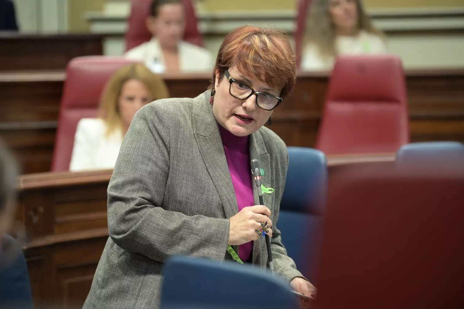 Candelaria Delgado, consejera de Bienestar Social del Gobierno de Canarias. / GOBIERNO DE CANARIAS