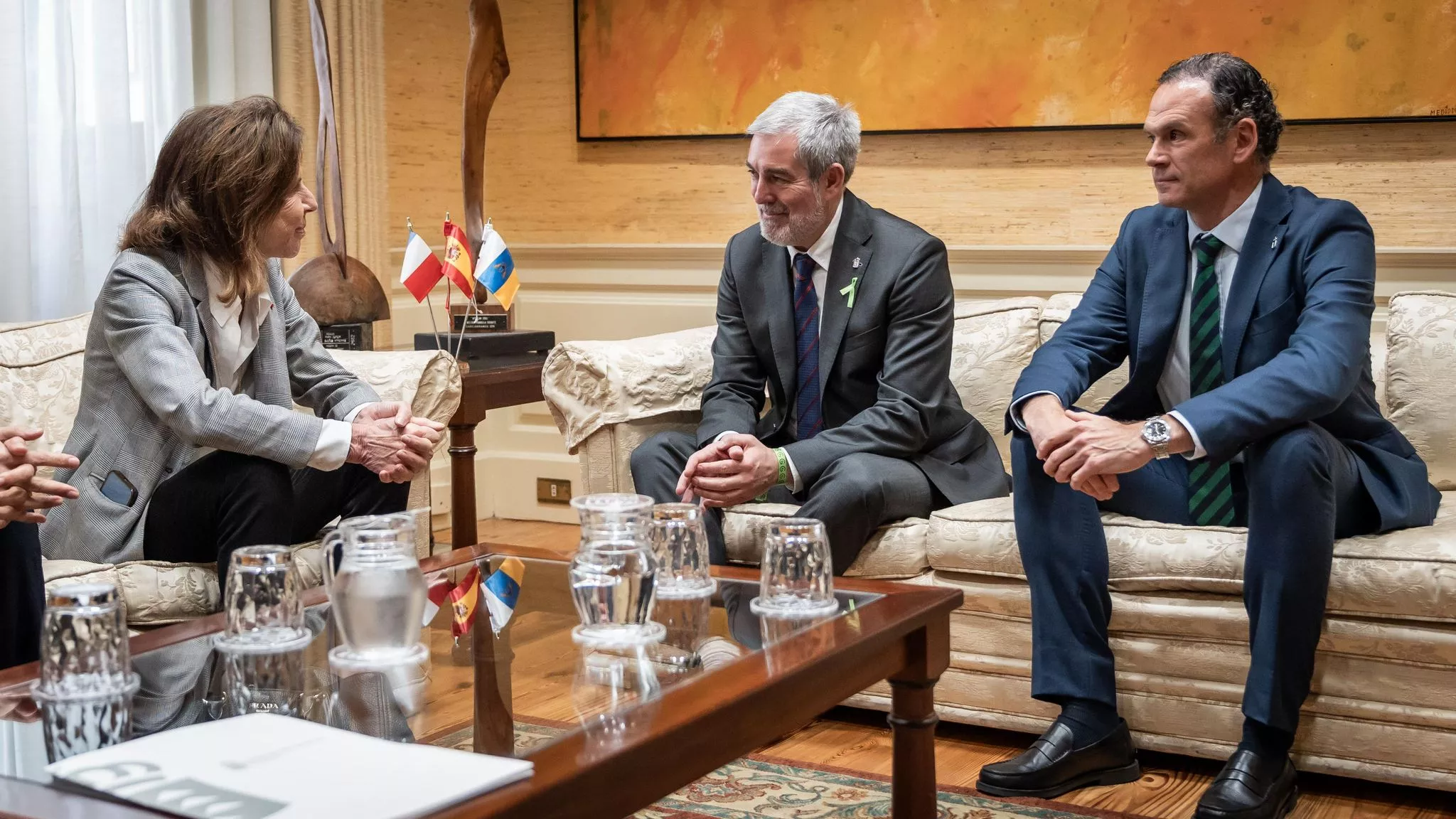 Canarias y Francia estrechan lazos con la próxima celebración del Foro bilateral. En la imagen, la reunión institucional. / GOBIERNO DE CANARIAS