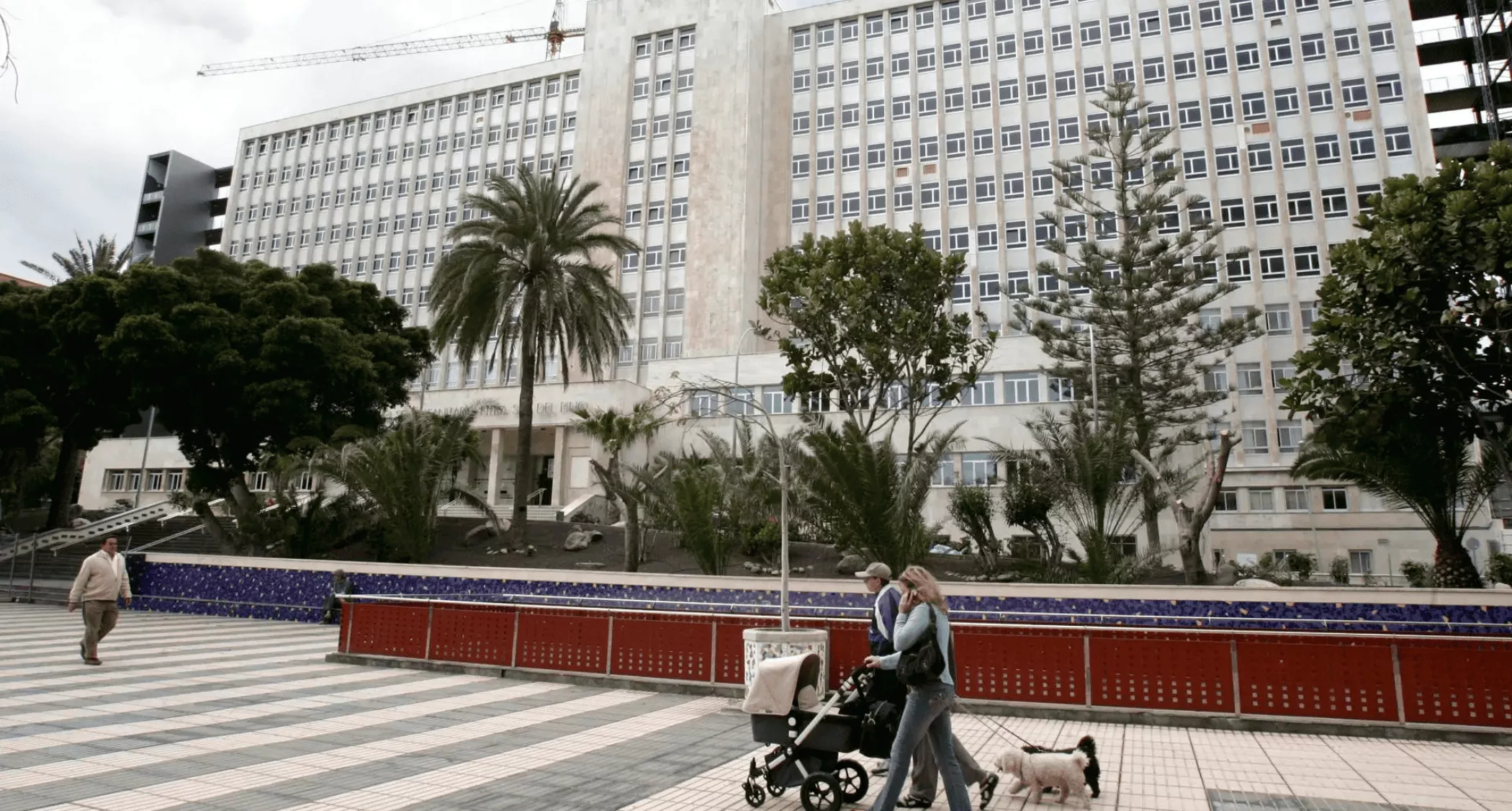 ICOT, Avericum, Serveo y SAMU compiten por gestionar El Pino por 44,29 millones de euros. / EFE