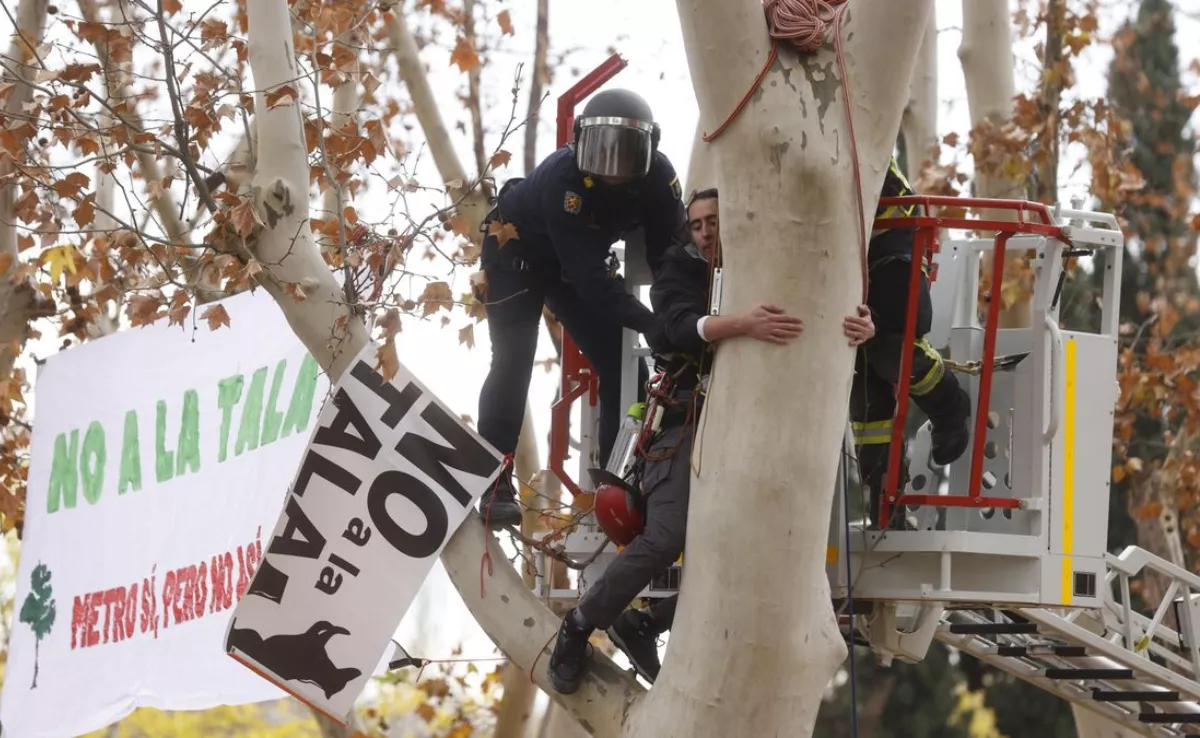 Protesta por el comienzo de la tala de árboles en una zona de España / EFE