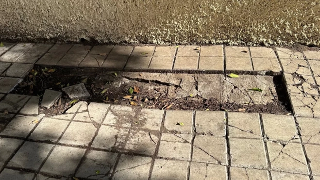 Desperfectos en la plaza de La Ilusión, en El Secadero II / ATLÁNTICO HOY - MARCOS MORENO Desperfectos en la plaza de La Ilusión, en El Secadero II / ATLÁNTICO HOY - MARCOS MORENO