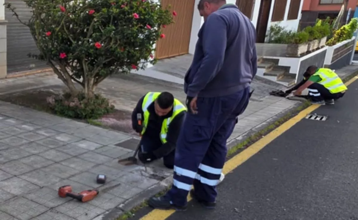 Trabajadores en San Matías|AYUNTAMIENTODELALAGUNA Trabajadores en San Matías|AYUNTAMIENTODELALAGUNA