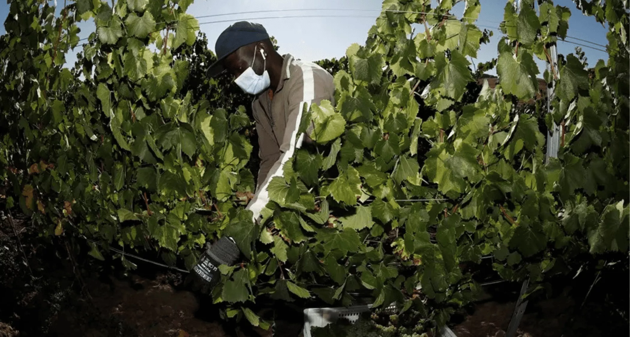 Canarias depende cada vez más de la inmigración para sostener su empleo y su crecimiento económico. / JESÚS DIGES-EFE