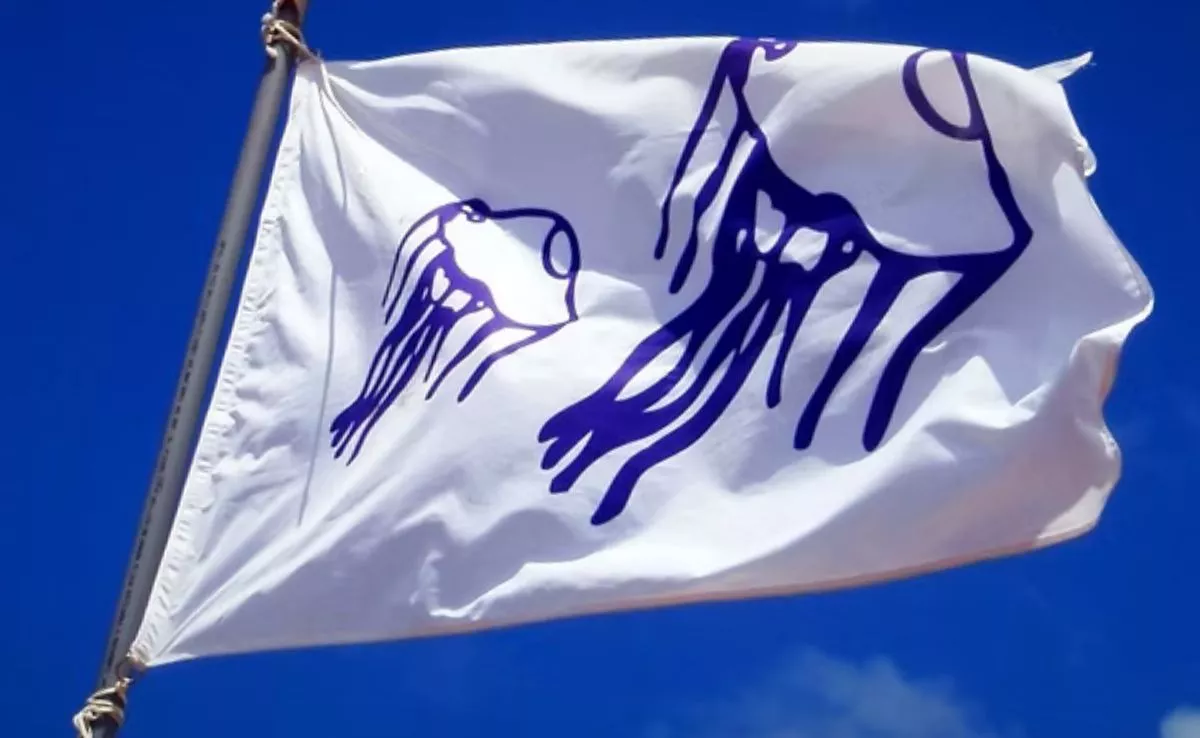 Bandera de medusas. /Imagen de la red