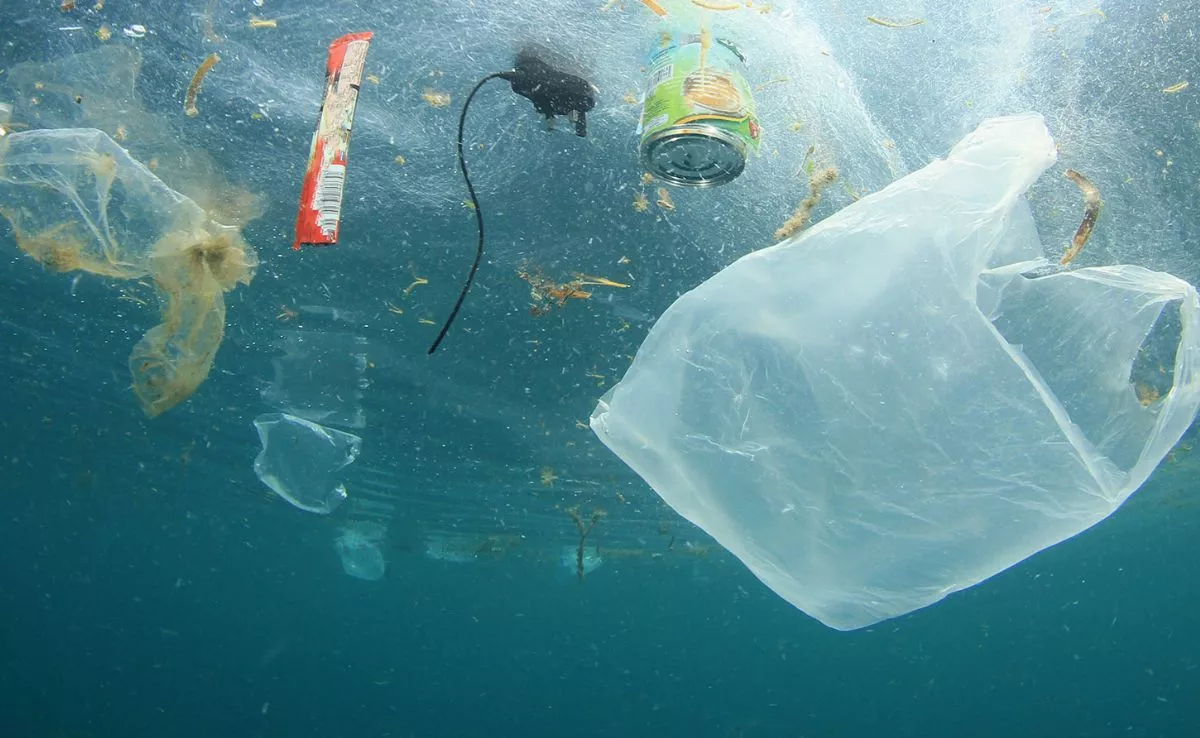 Plásticos marinos|EUROPARL