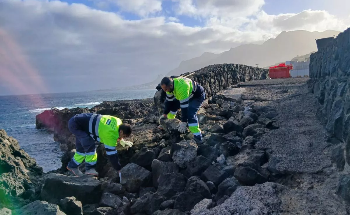 Obras en el nuevo muro de Jóver, en Tejina|CEDIDA
