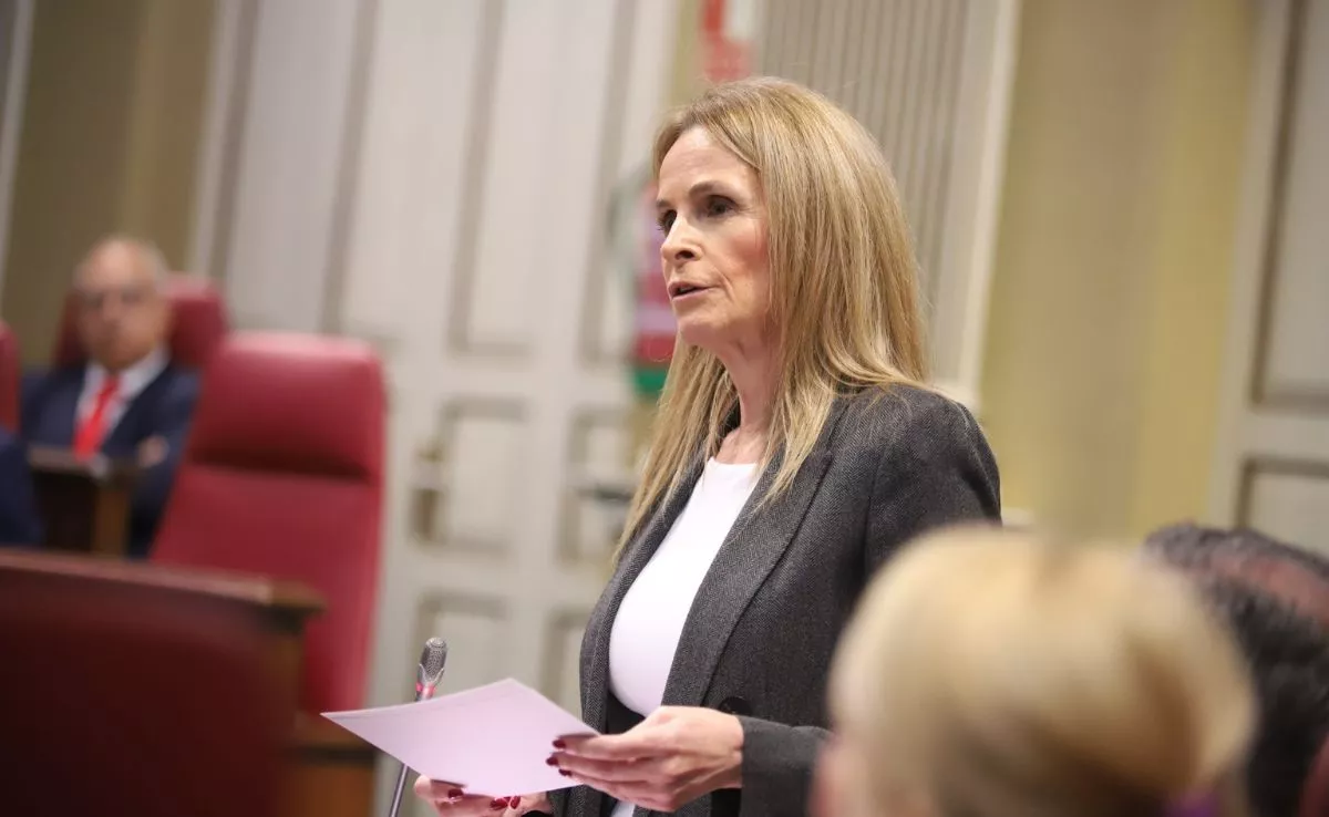 Luz Reverón, portavoz Grupo Parlamentario Popular|GPP