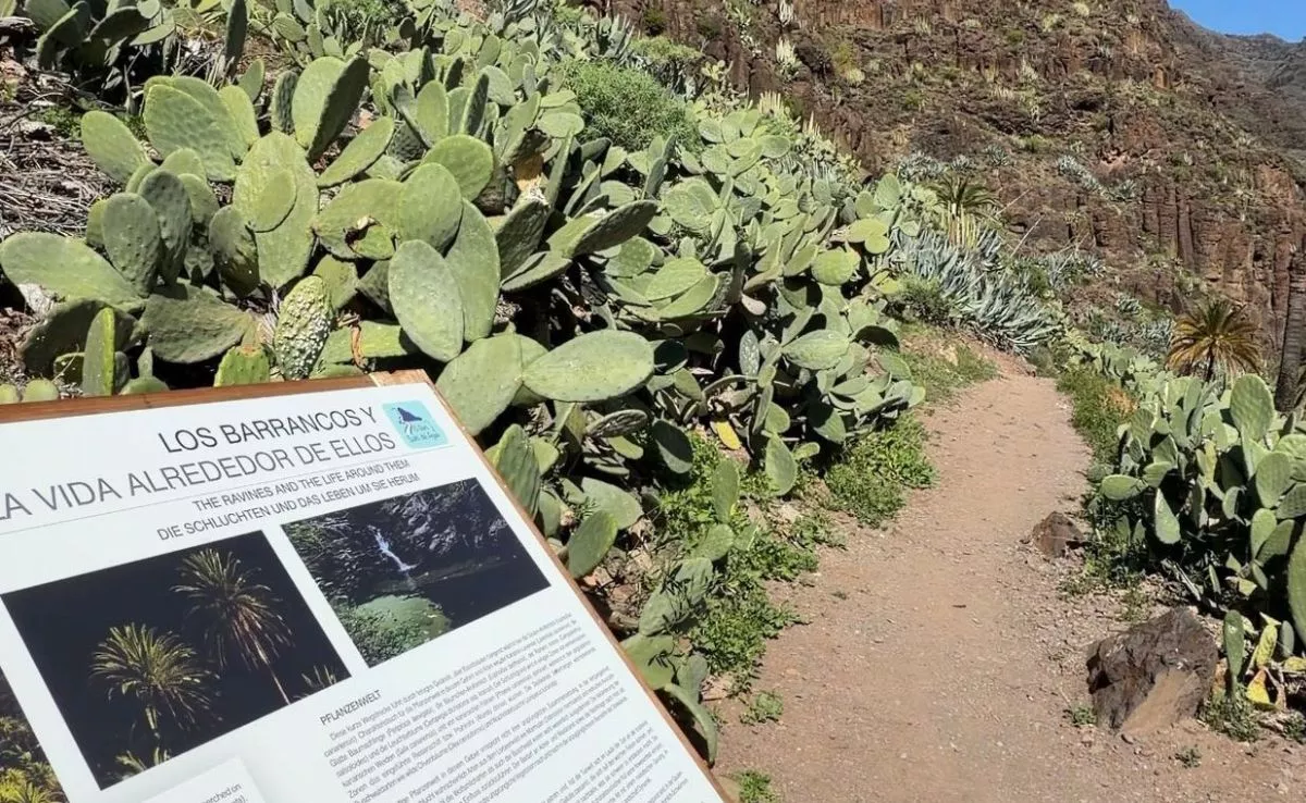 Sendero El Guro - Salto del Agua, en Valle Gran Rey|CEDIDA