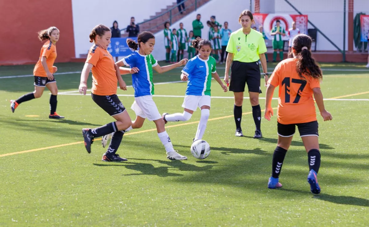 Las entidades deportivas tienen equipos desde la categoría benjamín hasta juvenil, tanto en fútbol como en fútbol sala / IID