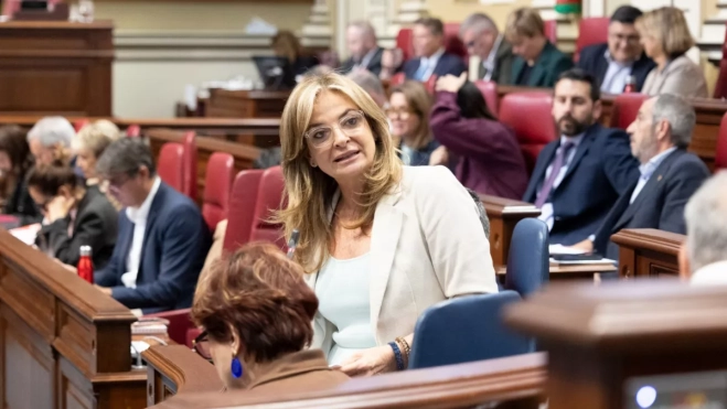 La consejera de Sanidad, Esther Monzón, durante el pleno del Parlamento de Canarias / GOBIERNO DE CANARIAS La consejera de Sanidad, Esther Monzón, durante el pleno del Parlamento de Canarias / GOBIERNO DE CANARIAS