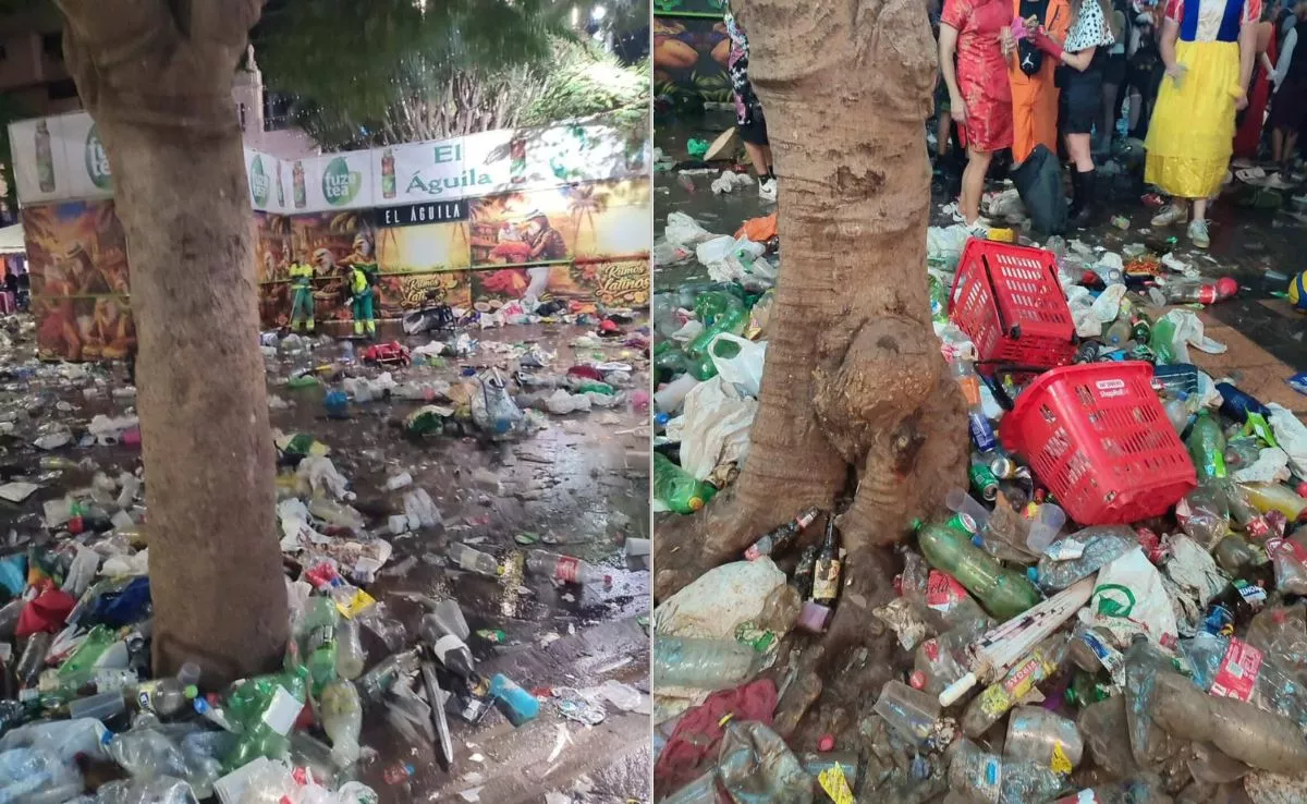 Maltrato a los árboles durante el carnaval de Santa Cruz|CEDIDAS
