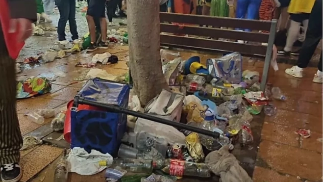 Momento del Carnaval 2026 Santa Cruz